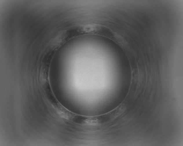 X0000053070606200507111220