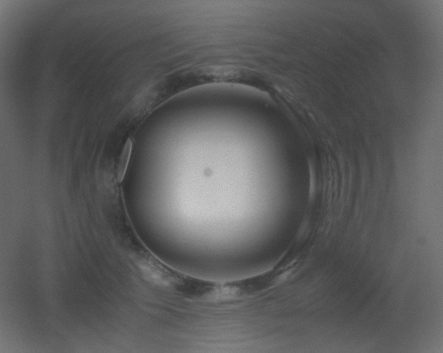 X0000053070609200507111220