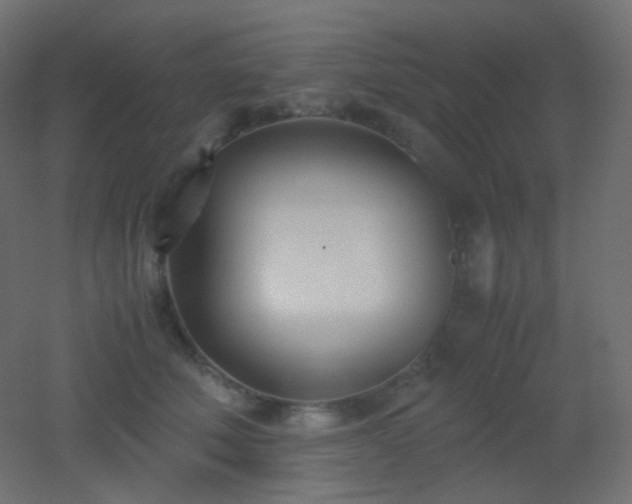X0000053070610200507111220