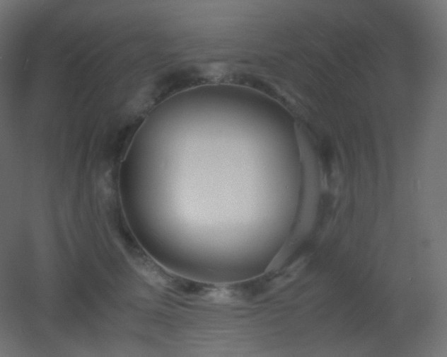 X0000053070611200507111220