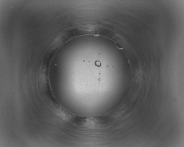 X0000053070612200507111220