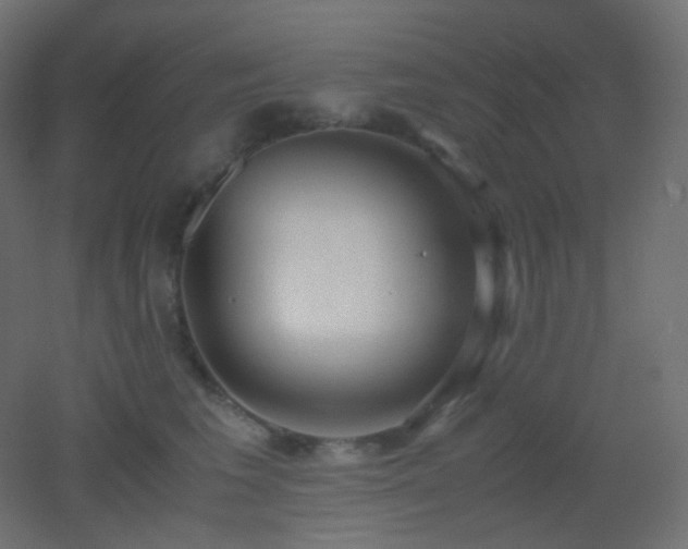X0000053070613200507111220