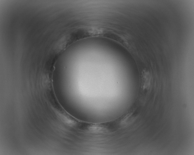 X0000053070614200507111220