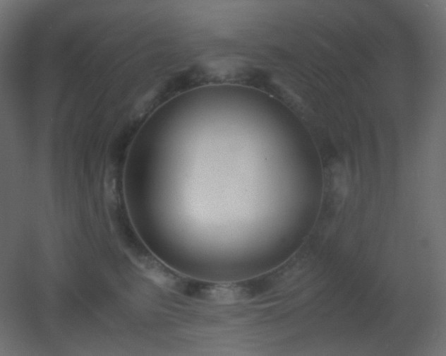 X0000053070615200507111220