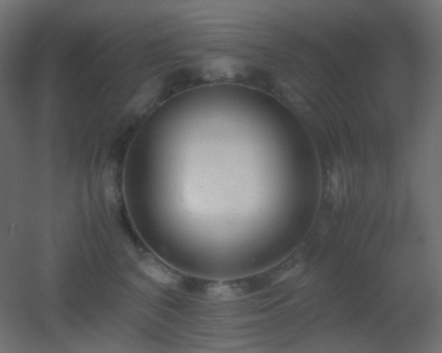 X0000053070616200507111220