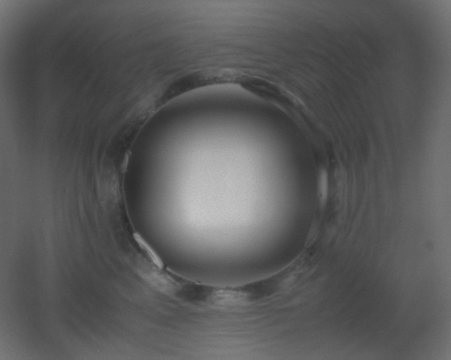 X0000053070617200507111220