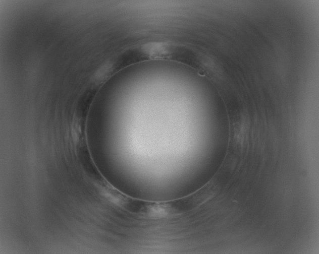 X0000053070618200507111220
