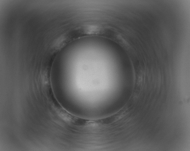 X0000053070620200507111220