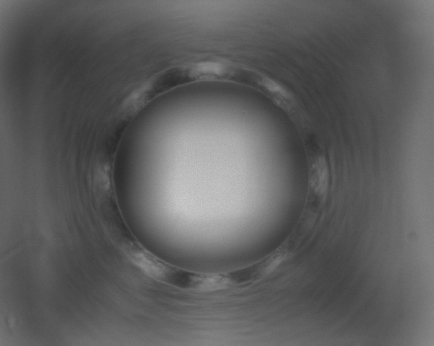 X0000053070621200507111220