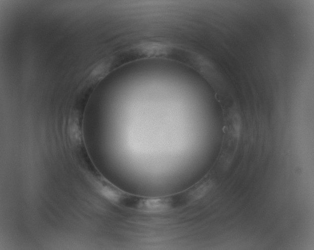 X0000053070622200507111220