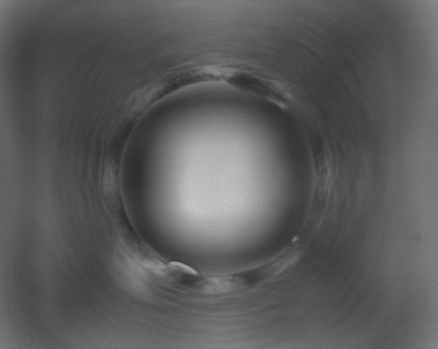X0000053070623200507111220