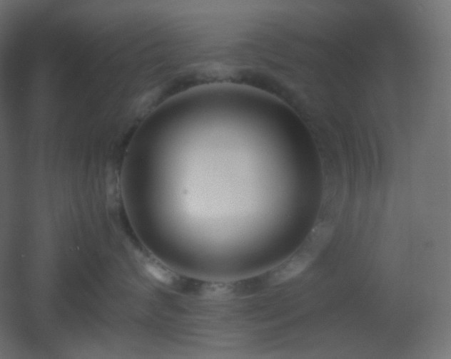 X0000053070624200507111220