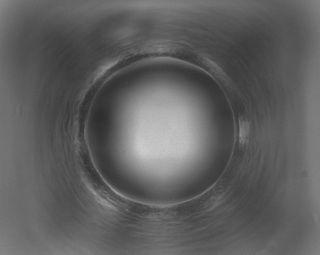 X0000053070627200507111219