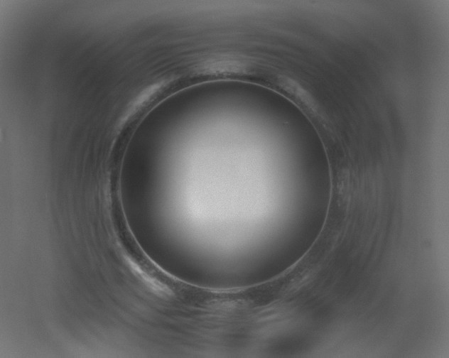 X0000053070629200507111219