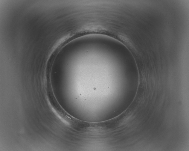 X0000053070630200507111219
