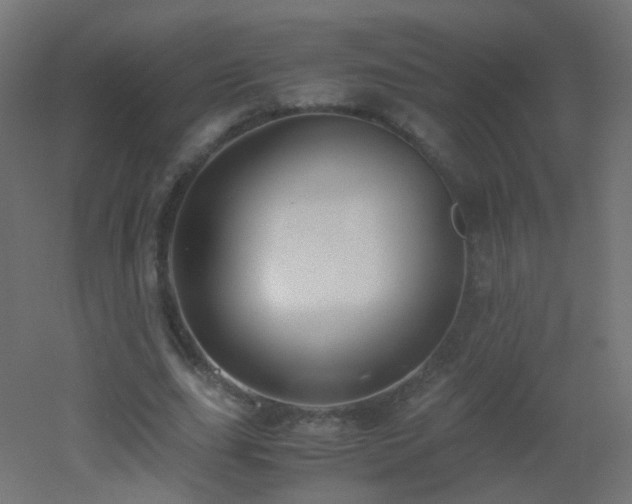 X0000053070631200507111219