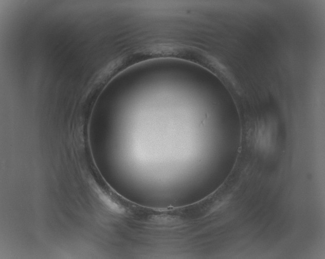 X0000053070633200507111219