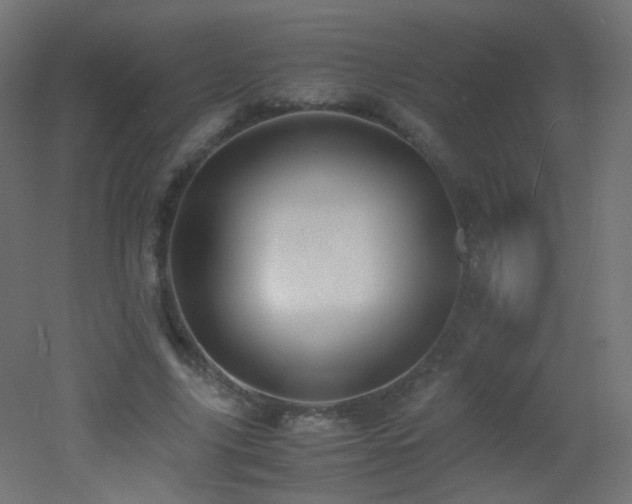 X0000053070635200507111219
