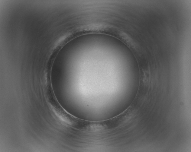 X0000053070636200507111219