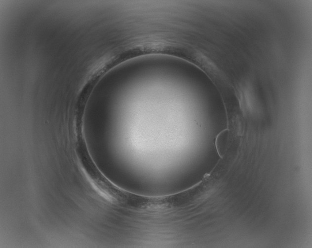 X0000053070638200507111219