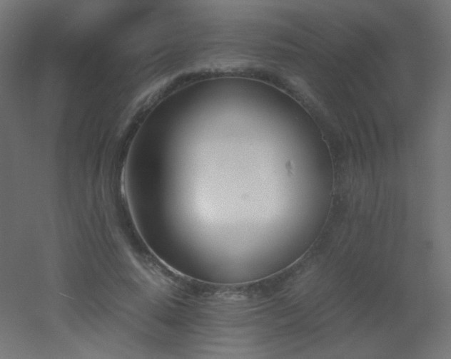 X0000053070640200507111219