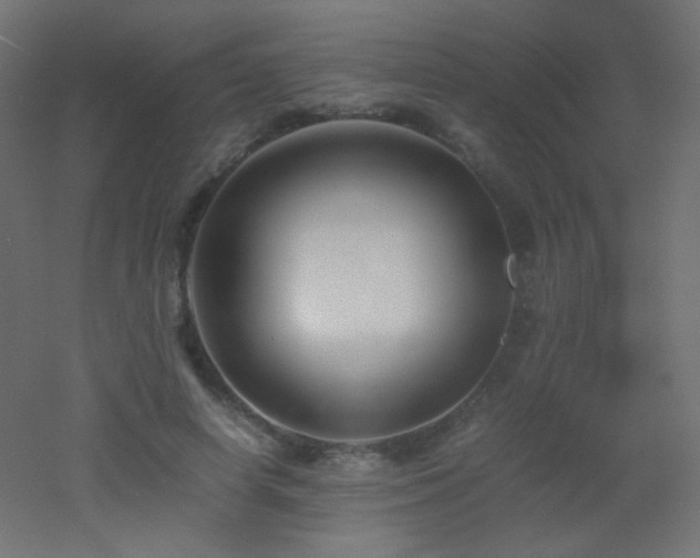 X0000053070642200507111219
