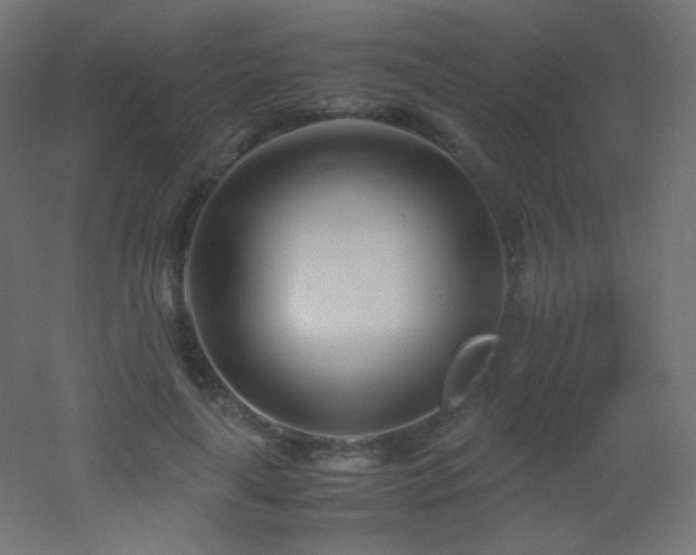 X0000053070643200507111219