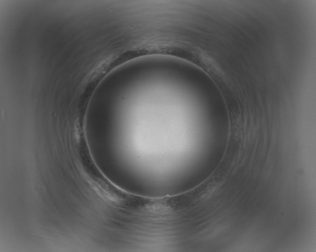 X0000053070644200507111219
