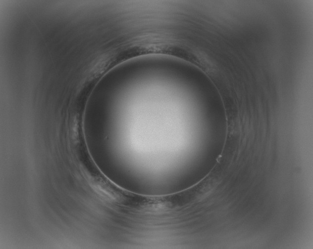 X0000053070646200507111219