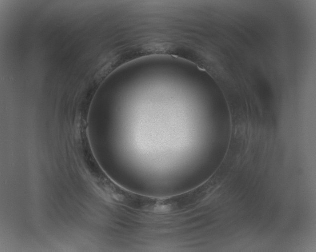 X0000053070647200507111219