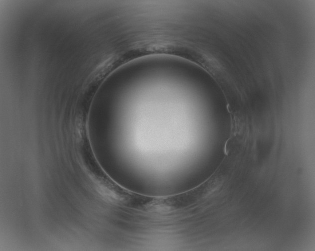 X0000053070648200507111219