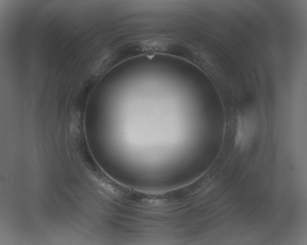 X0000053070649200507111219
