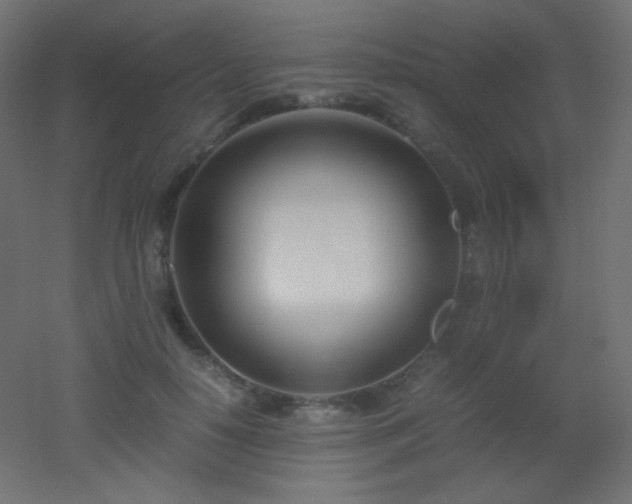 X0000053070650200507111219