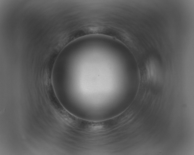 X0000053070651200507111219