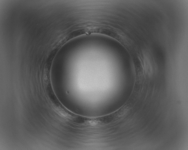 X0000053070654200507111219