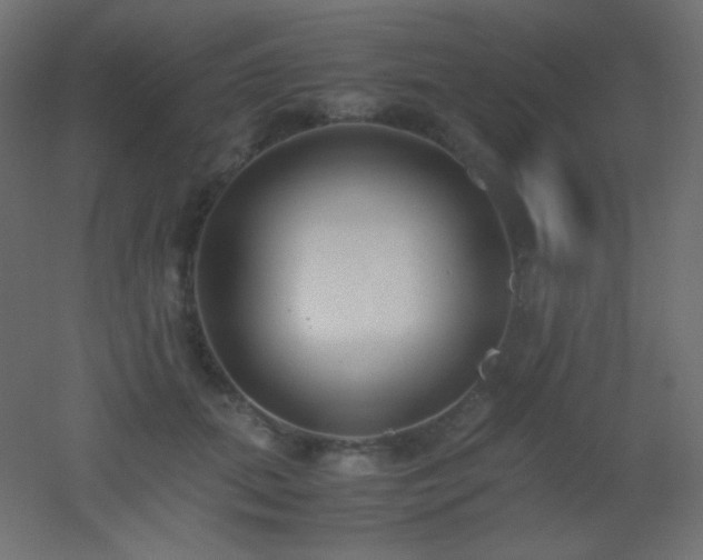 X0000053070655200507111219