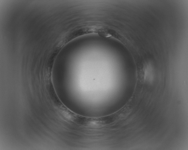 X0000053070657200507111219