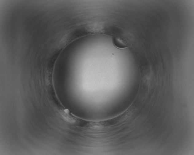 X0000053070658200507111219