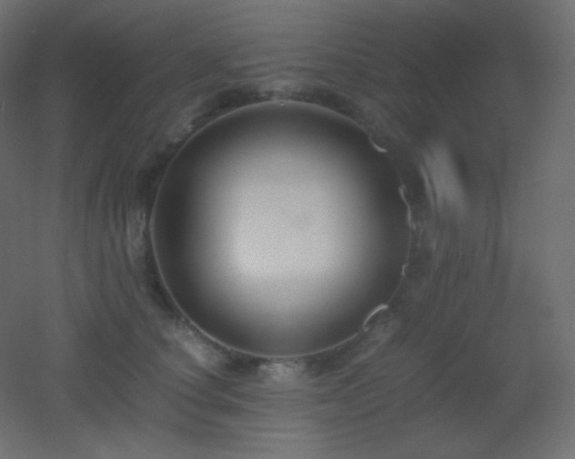 X0000053070660200507111219