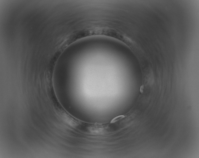 X0000053070661200507111219