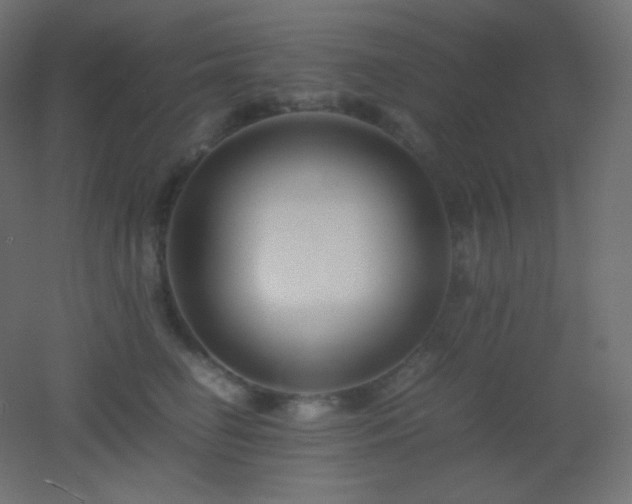 X0000053070662200507111220
