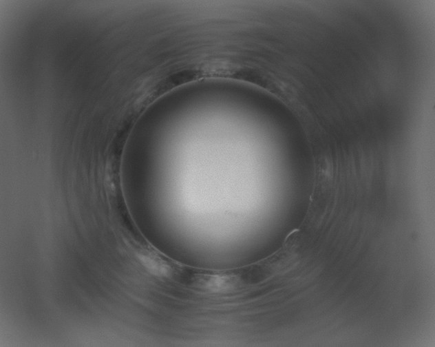X0000053070663200507111220