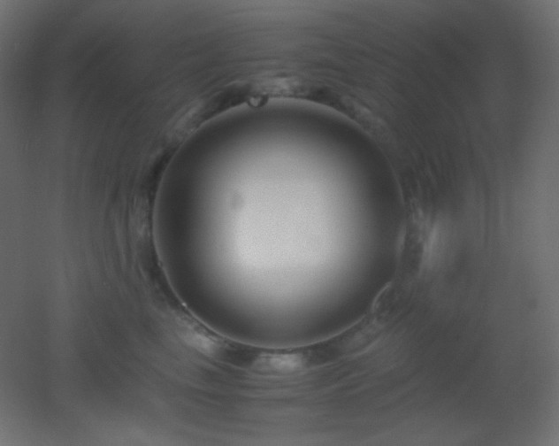 X0000053070665200507111220