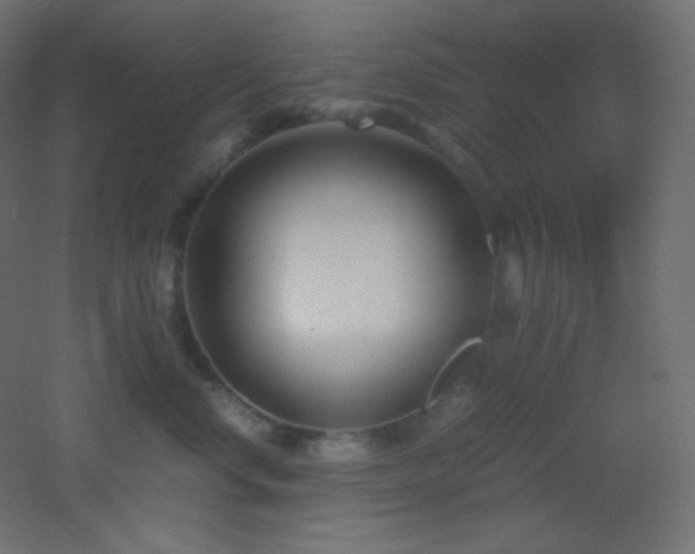 X0000053070668200507111220