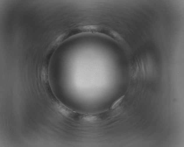 X0000053070669200507111220