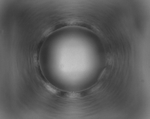 X0000053070670200507111220