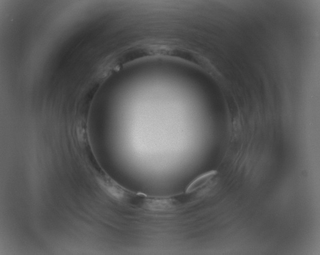 X0000053070671200507111220
