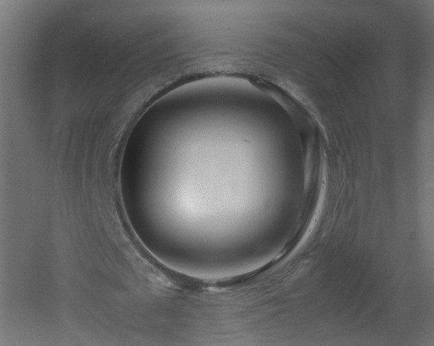 X0000053070673200507111219