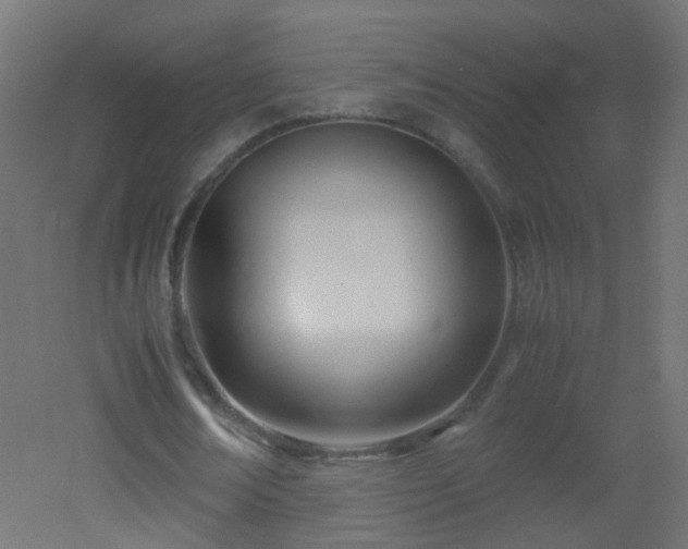 X0000053070674200507111219