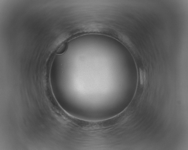 X0000053070675200507111219